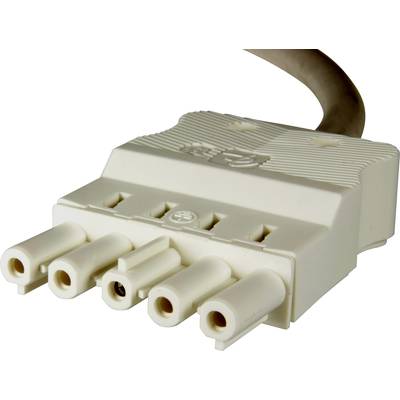 Un connecteur blanc à quatre pôles avec câble, adapté aux connexions électroniques.
