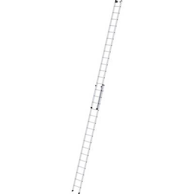 'Une échelle longue et extensible en aluminium avec plusieurs échelons, adaptée pour une utilisation en hauteur.'