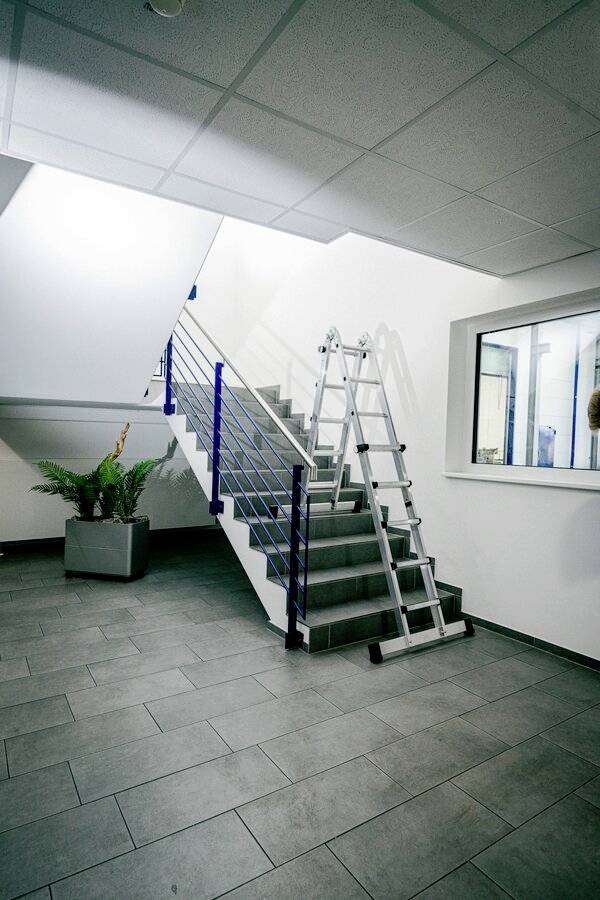 Cage d'escalier avec une échelle dressée contre l'escalier, plante en pot à gauche en arrière-plan, fenêtre à droite, éclairage au plafond en haut.