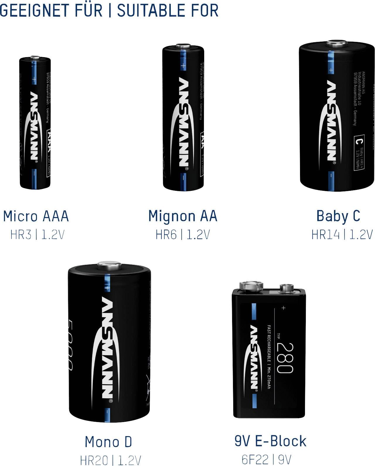 Cinq types de piles côte à côte : Micro AAA, Mignon AA, Baby C, Mono D, bloc 9V. Adaptés à différents appareils.