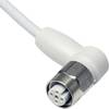 MD Micro Detectors CD12F/0B-050C4 Câble de connexion pour capteurs CD12F/0B-050C4 1 pc(s)