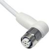 MD Micro Detectors CD12F/0B-100C4 Câble de connexion pour capteurs CD12F/0B-100C4 1 pc(s)