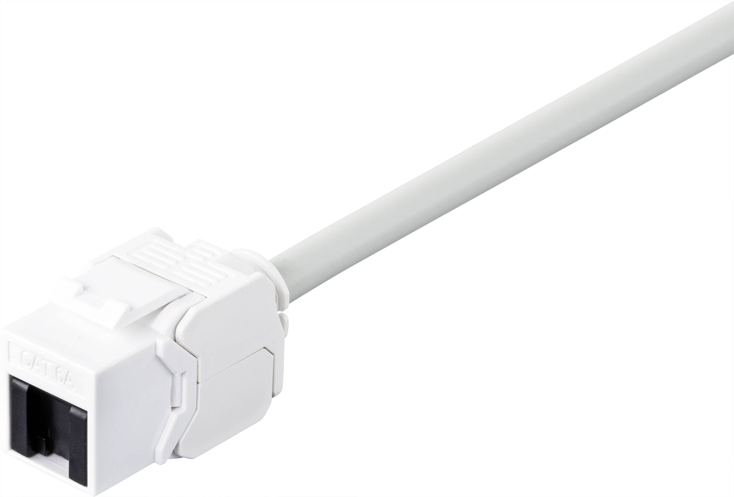 Renkforce Module RJ45 encastrable Keystone CAT 6a 1 pc(s)-2