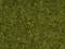Gros plan sur un tapis de gazon dense et vert, composé de différentes espèces d'herbes et de quelques feuilles jaunes dispersées.