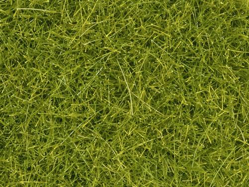 NOCH 0008363 Herbage à répandre  vert clair