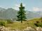 Un paysage verdoyant avec un grand arbre au centre. À l'arrière-plan, on aperçoit des montagnes et une église. Des personnes profitent d'un pique-nique.