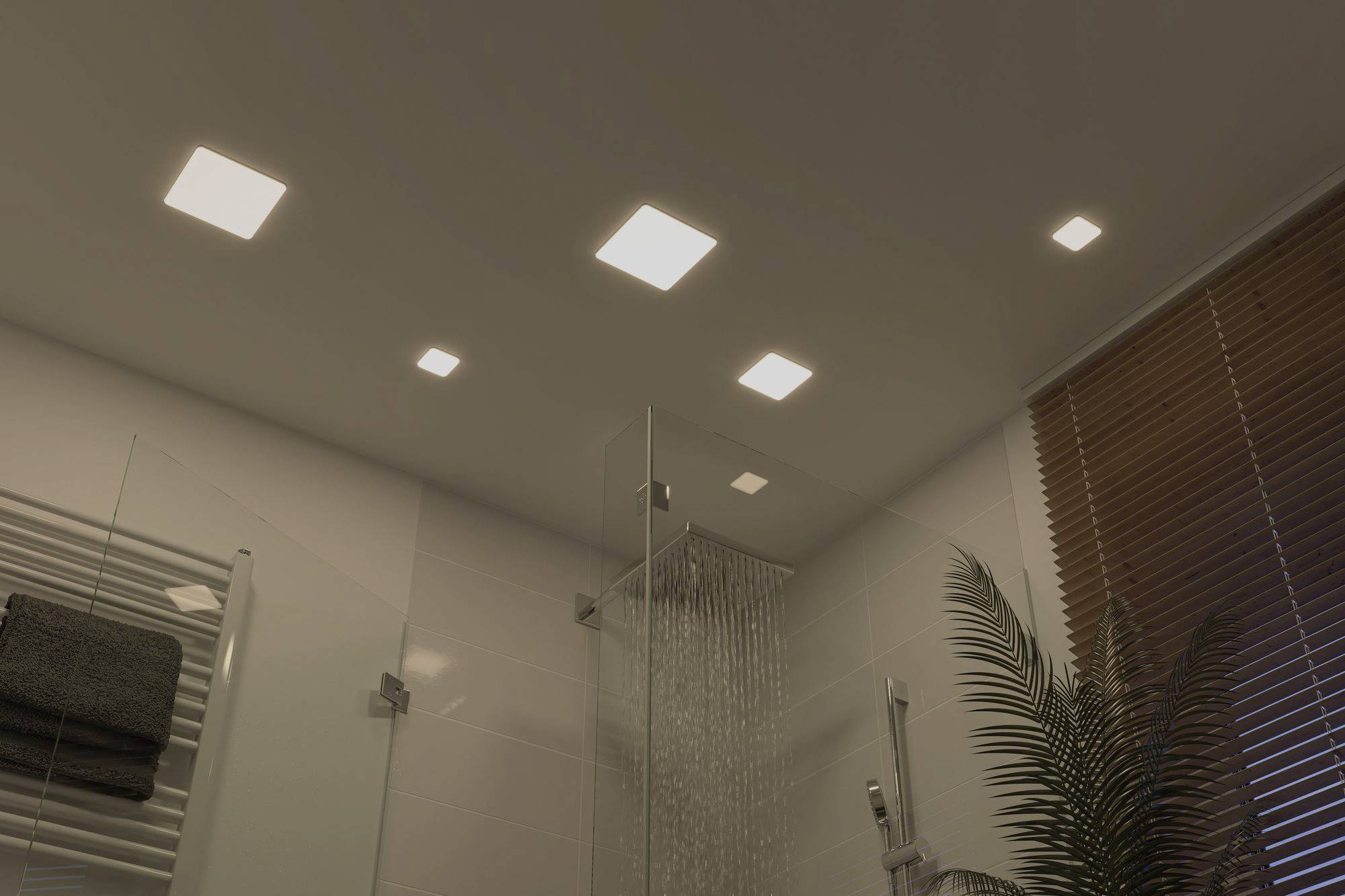 Plusieurs luminaires LED carrés au plafond de la salle de bain. En dessous, une douche avec paroi vitrée et un fougère placé sur le côté.