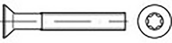 TOOLCRAFT  TO-6863265 Vis à tête fraisée M3 4 mm 6 pans intérieurs ronds DIN 965   acier galvanisé 2000 pc(s)