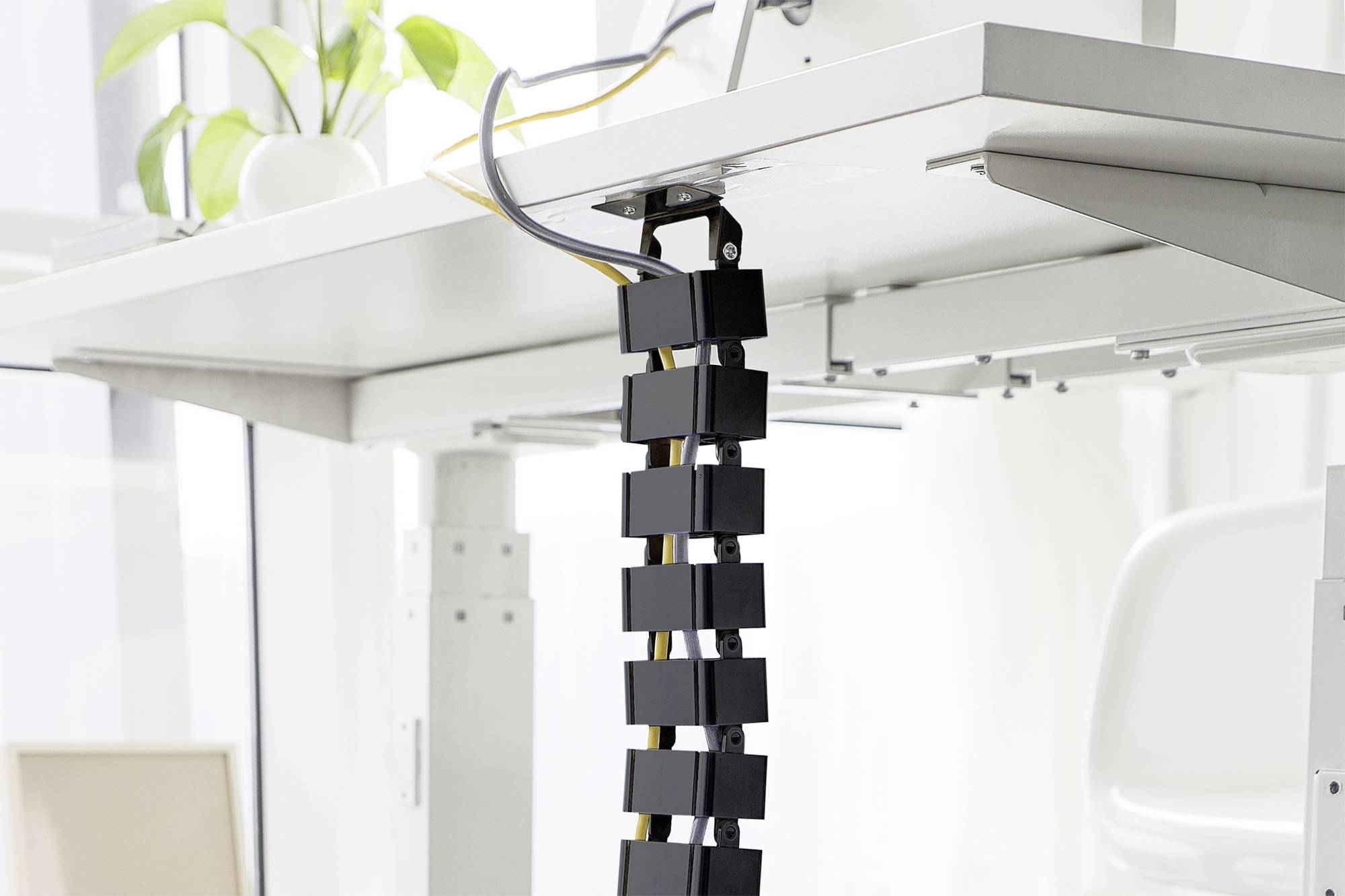 Système de gestion de câbles sous un bureau blanc avec des plantes posées dessus, dans un bureau lumineux et moderne.