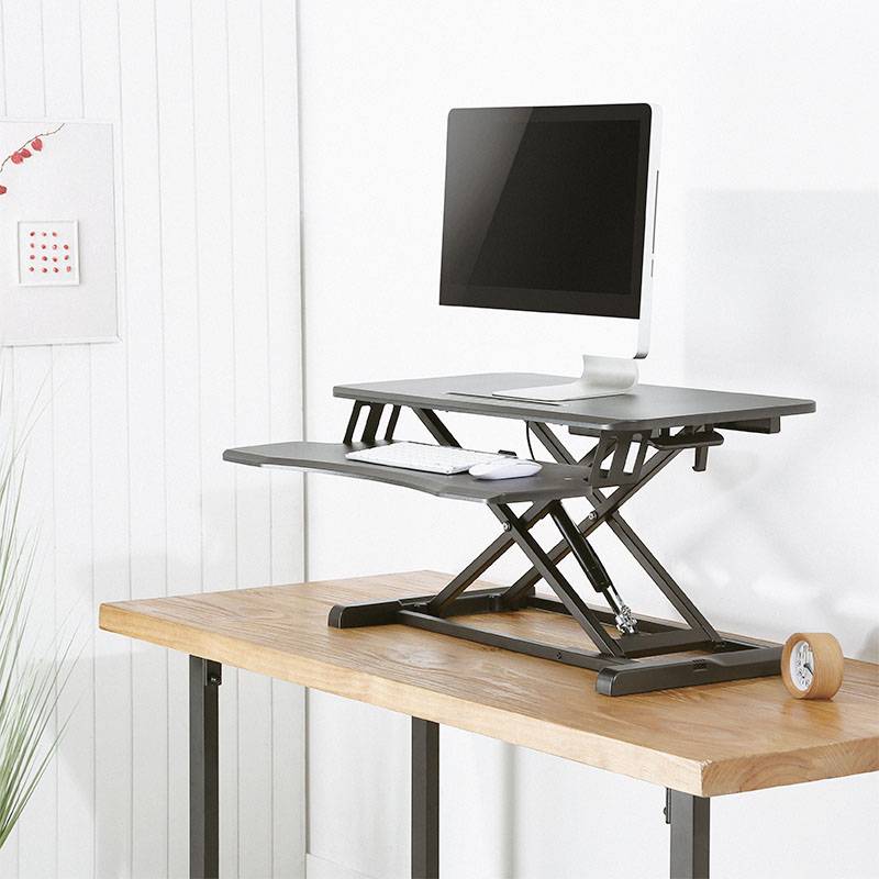 Un écran et un clavier sont placés sur un support de bureau réglable en hauteur. Des plantes et une horloge sont visibles en arrière-plan.