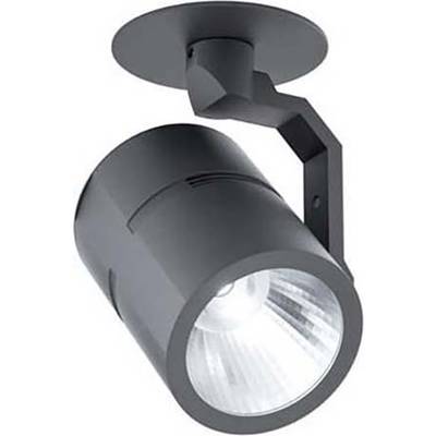 Projecteur de plafond noir avec bras orientable et tête lumineuse ronde et claire dirigée vers le bas, adapté pour un éclairage directionnel.