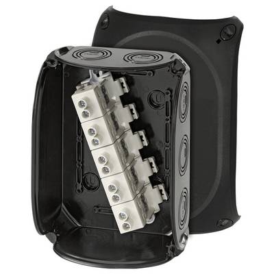 Boîtier électrique noir avec couvercle ouvert, montrant des composants blancs internes et des connexions à vis. Adapté à la distribution de câbles.