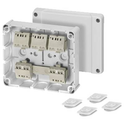 Prise électrique avec couvercle retiré, montrant quatre bornes et des plaques de recouvrement supplémentaires. Adaptée pour les connexions de câbles.