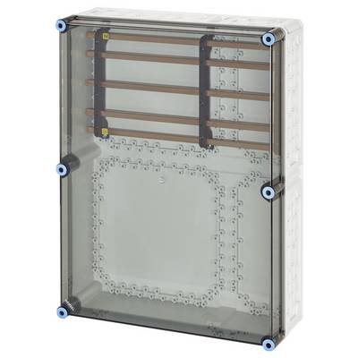 Armoire électrique avec boîtier transparent révélant plusieurs conducteurs en cuivre à l'intérieur. Adaptée pour la distribution électrique dans les bâtiments.