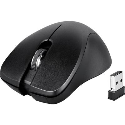 Souris d'ordinateur sans fil noire avec récepteur USB, design ergonomique, idéale pour un usage quotidien et les environnements de bureau.