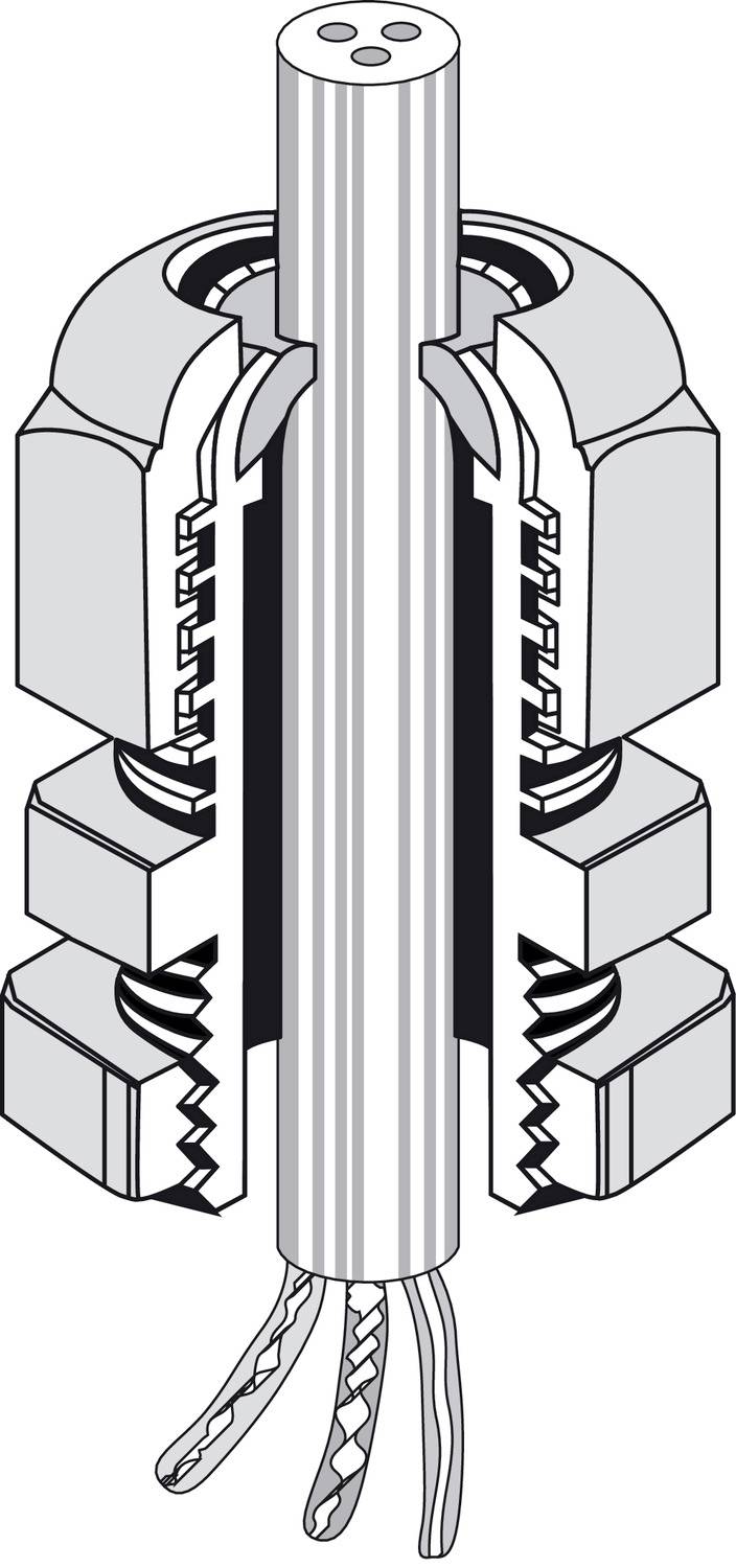 Coupe transversale d'un faisceau de câbles avec gaine et fils exposés, conception détaillée des composants internes et externes.