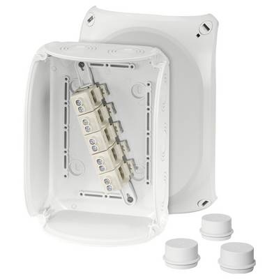 Boîte de dérivation blanche et ouverte avec cinq bornes à vis, adaptée aux installations électriques. Deux capuchons de fermeture amovibles sont visibles à l'avant.