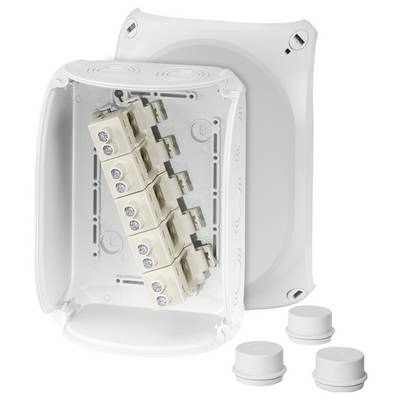 Boîte de dérivation en plastique avec vue ouverte sur plusieurs bornes électriques internes. Trois capuchons de fermeture à l'avant.
