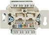 Rutenbeck Prise réseau encastré insert CAT 6