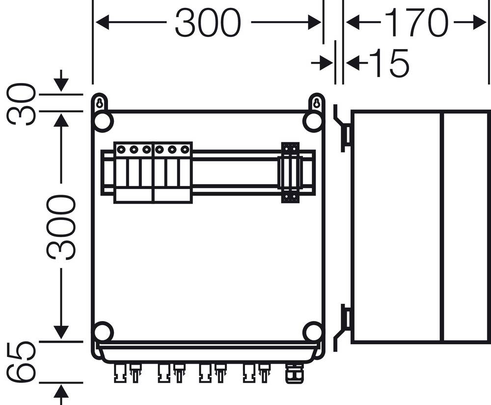 Schéma de câblage d'un boîtier électrique avec dimensions : largeur totale 300 mm, profondeur 170 mm, largeur utile 65 mm.