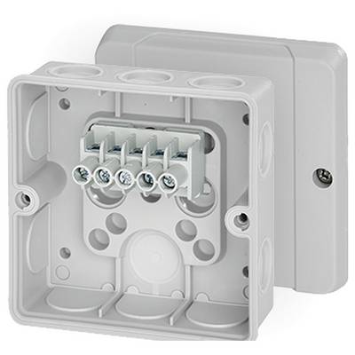 Une boîte de dérivation grise et vide en plastique avec cinq bornes à vis à l'intérieur. Une vis de fixation se trouve en bas à gauche.