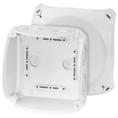 Deux boîtiers en plastique blanc, carrés, l'un ouvert et l'autre fermé. Ils présentent des points de fixation et des ouvertures pour câbles.