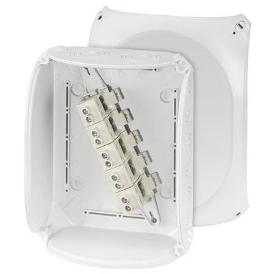 Un boîtier électrique ouvert, blanc, avec plusieurs bornes, adapté aux installations domestiques, montrant son intérieur avec des vis de fixation.