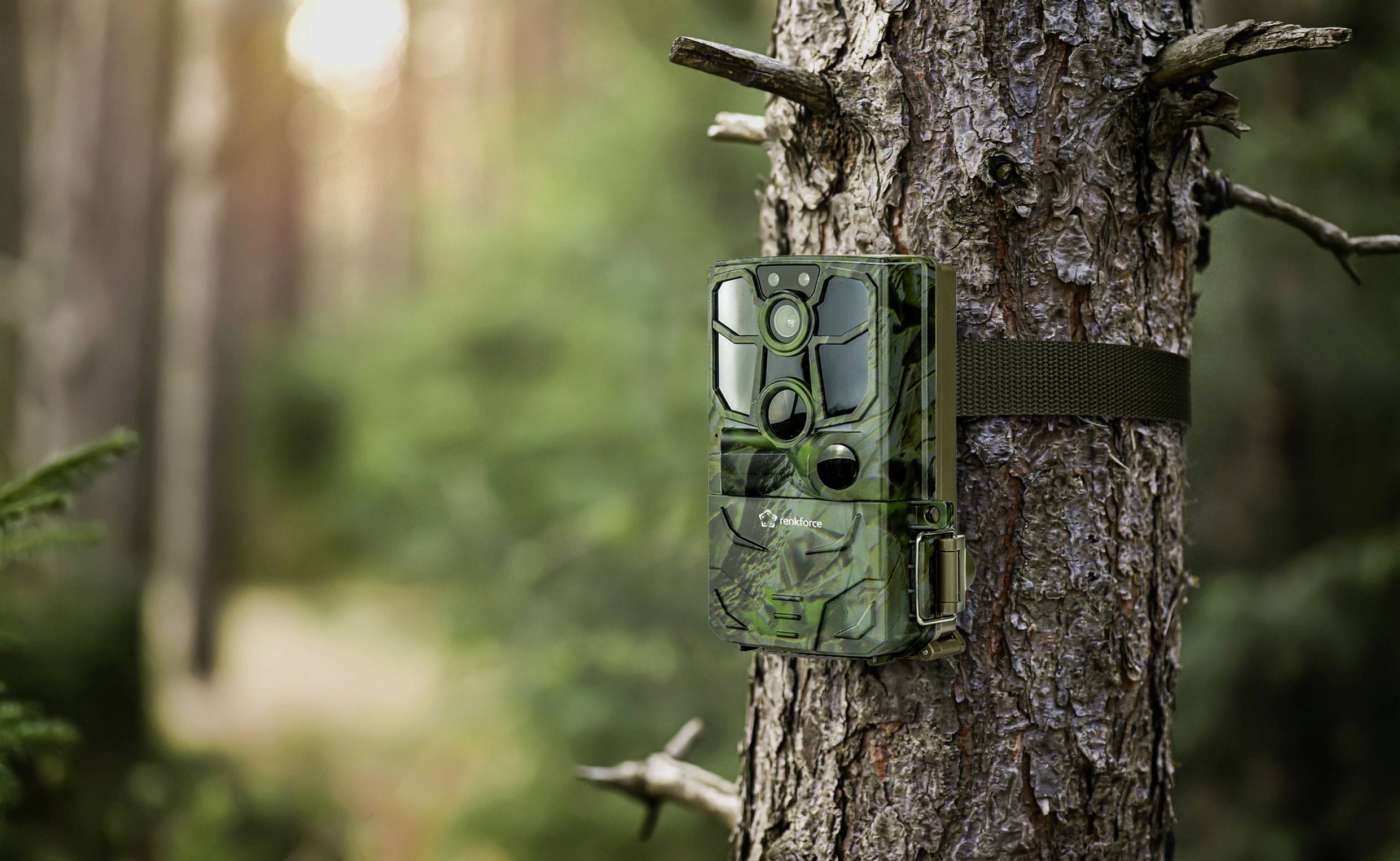 Une caméra de chasse avec un motif de camouflage est fixée à un arbre dans une forêt. Elle sert à observer les animaux dans leur environnement naturel.