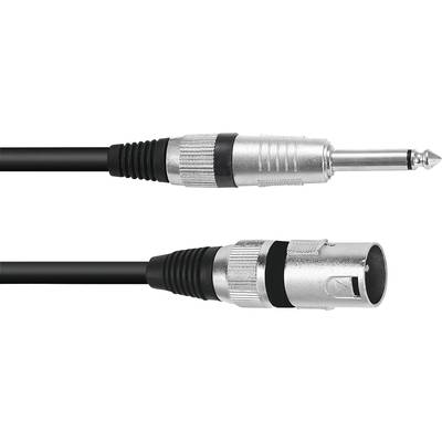 Un câble audio noir avec une fiche jack 6,3 mm à une extrémité et une fiche XLR à l'autre extrémité.