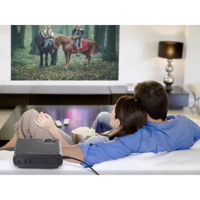 Un couple est assis sur un canapé et regarde un film à thème équestre projeté sur un écran mural.