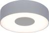 Lutec UBLO 3481 S SI Applique LED extérieure 8 W argent