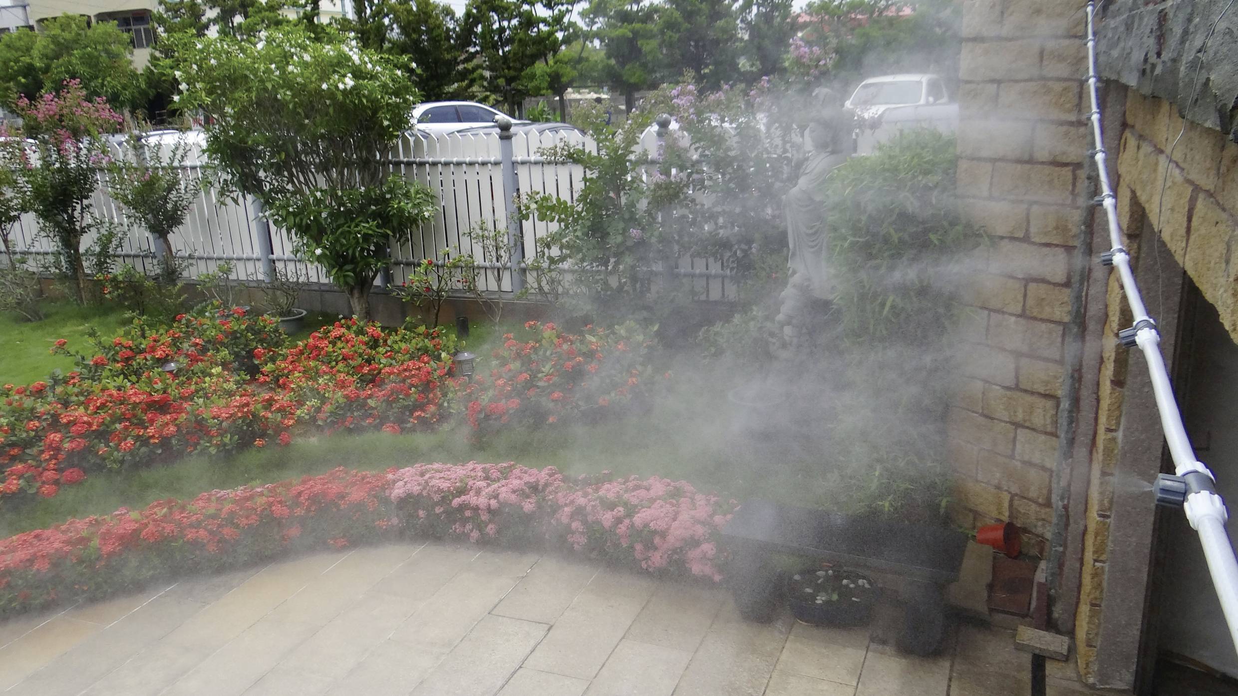Un jardin aux fleurs rouges éclatantes et aux buissons verts, arrosé par une fine bruine qui flotte devant un mur de pierre.