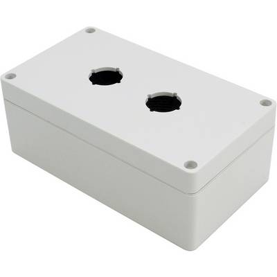Boîtier rectangulaire gris avec deux découpes circulaires sur le dessus, adapté pour des interrupteurs ou des boutons.
