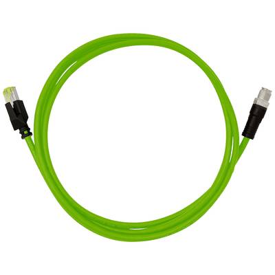 Câble Ethernet vert avec connecteur RJ45 à gauche et un autre connecteur à droite, sur fond blanc.