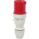Walther Werke 262 262 Mâle CEE 63 A 5 pôles 400 V 1 pc(s)