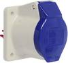Walther Werke 410306 410306 Prise femelle CEE 16 A 3 pôles 230 V 1 pc(s)