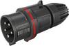 Walther Werke FW211506SK FW211506SK Mâle CEE 16 A 5 pôles 400 V 1 pc(s)