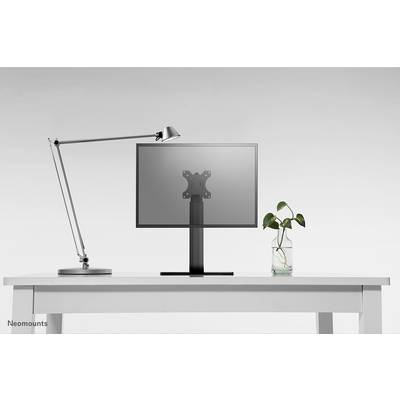 Un bureau avec une lampe moderne à gauche, un moniteur au centre et une plante dans un récipient en verre à droite.