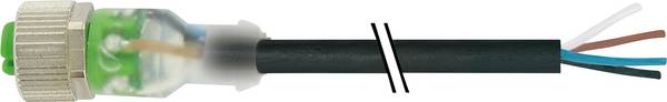 Murrelektronik 7000-12291-6341000 Connecteur non confectionné pour capteurs/actionneurs M12 x 1 femelle, droit 10.00 m Nombre de pôles: 4 1 pc(s)