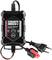 Chargeur de batterie de Staudte Hirsch pour 6V/12V, Lithium, avec affichage des modes et câbles de connexion et d'alimentation.