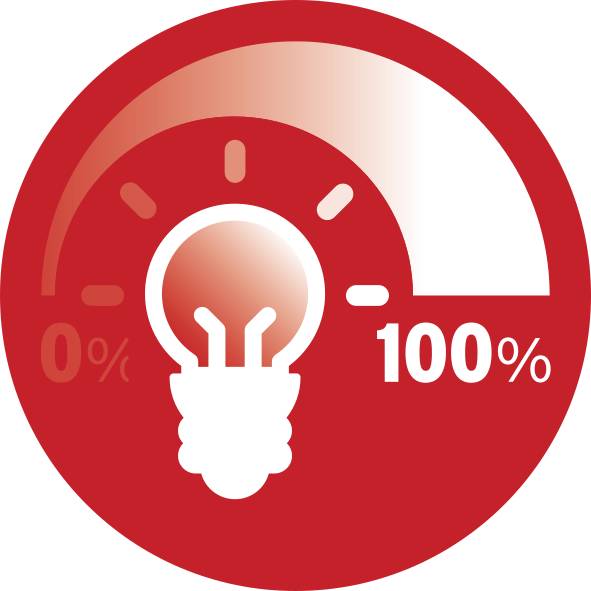 Symbole rouge avec une ampoule indiquant 100% d'éclairage. À gauche est inscrit '0%', à droite '100%'. Symbolise la luminosité maximale.