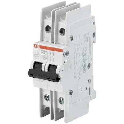 Un interrupteur de sécurité bipolaire ABB avec l'inscription '5kA' destiné à être utilisé dans les armoires électriques.