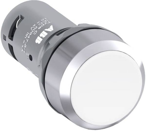 ABB  1SFA619100R3015  CP1-30W-10  Bouton-poussoir        verrouillage mécanique      IP67/IP69K  1 pc(s)