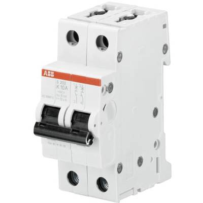 Un disjoncteur bipolaire avec l'étiquette '10A'. Il sert à interrompre le circuit électrique en cas de surcharge ou de court-circuit.