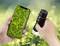 Une personne tient un smartphone et un microscope numérique. Sur l'écran, on peut voir un gros plan agrandi de cellules de feuille.