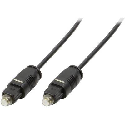 Deux câbles Toslink avec des connecteurs optiques, utilisés pour la transmission audio numérique entre des appareils.