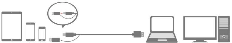 Un diagramme illustre comment divers appareils peuvent être connectés à un ordinateur portable ou de bureau via un seul système de câblage.