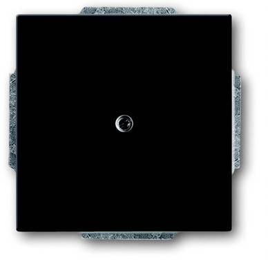 ABB  1742-81 Cache  anthracite, gris-noir 2CKA001710A3612
