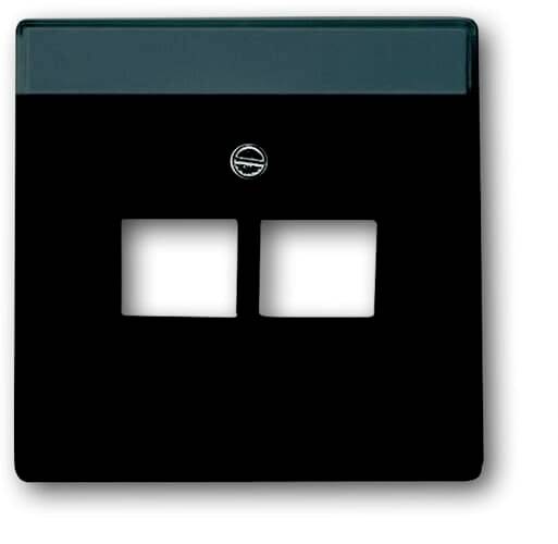 'Cadre double pour prises électriques, noir, rectangulaire, avec deux découpes, adapté pour le montage mural.'