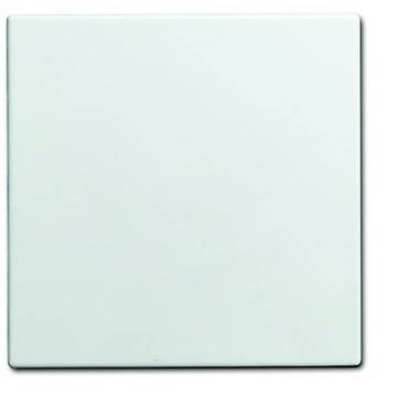 ABB  Cache Cache  blanc, blanc pur (RAL 9010) 2CKA001582A0401 1 pc(s)